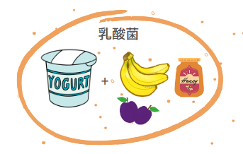はちみつとヨーグルトの組み合わせが相性が良い理由：健康と美味しさを両立金澤やまぎし養蜂場オンラインショップ