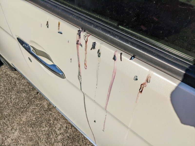 3,500点を超える鳥の糞のストックフォト、写真、そしてロイヤリティフリーの画像 - iStock