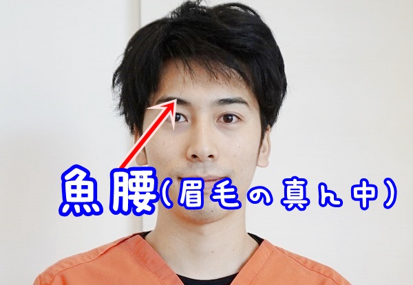 目の疲れを取る方法3選。眼精疲労になる前に対策を大正製薬「アイリス」