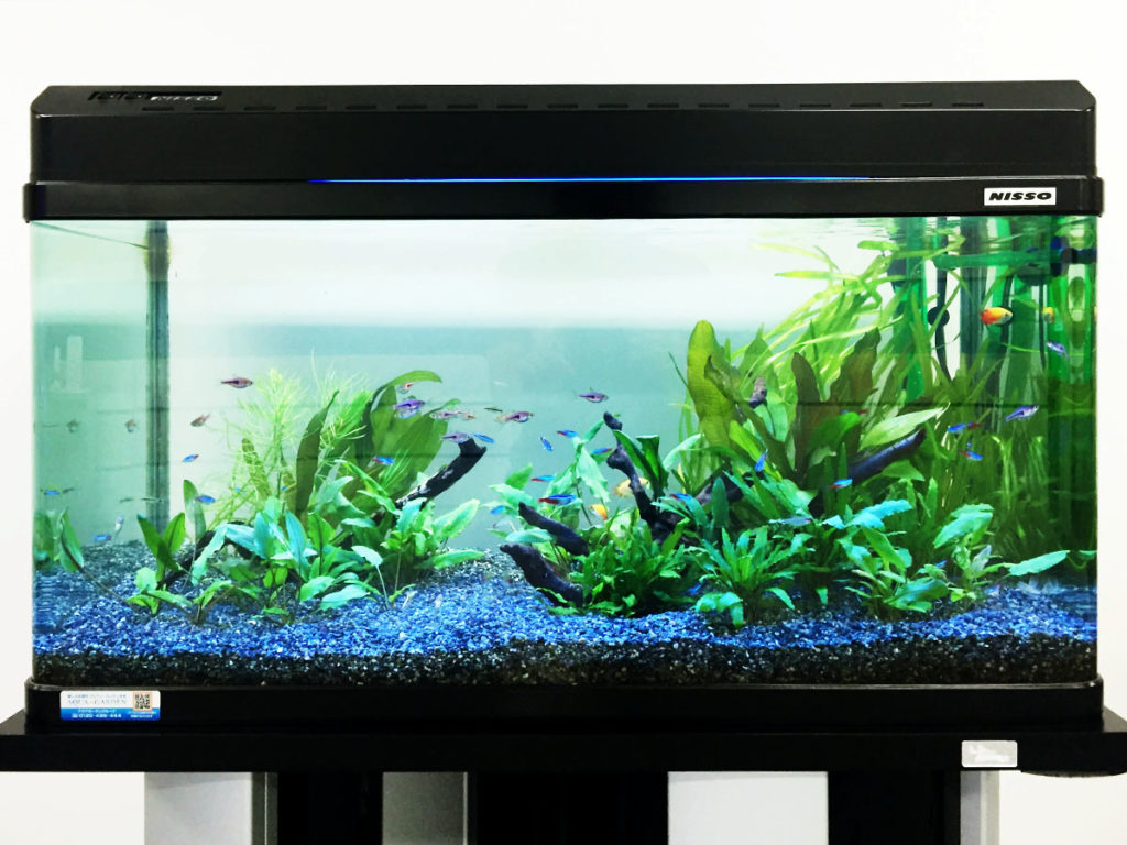 水槽セット 透明ガラス エアポンプ付き 金魚元気ぶくぶくクリア GEX ガラス水槽セット 200CUBE