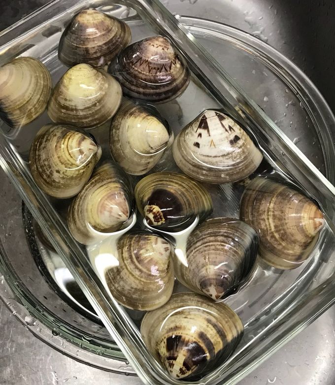 あさりの砂抜き砂出しの方法 失敗の原因・時間・保存