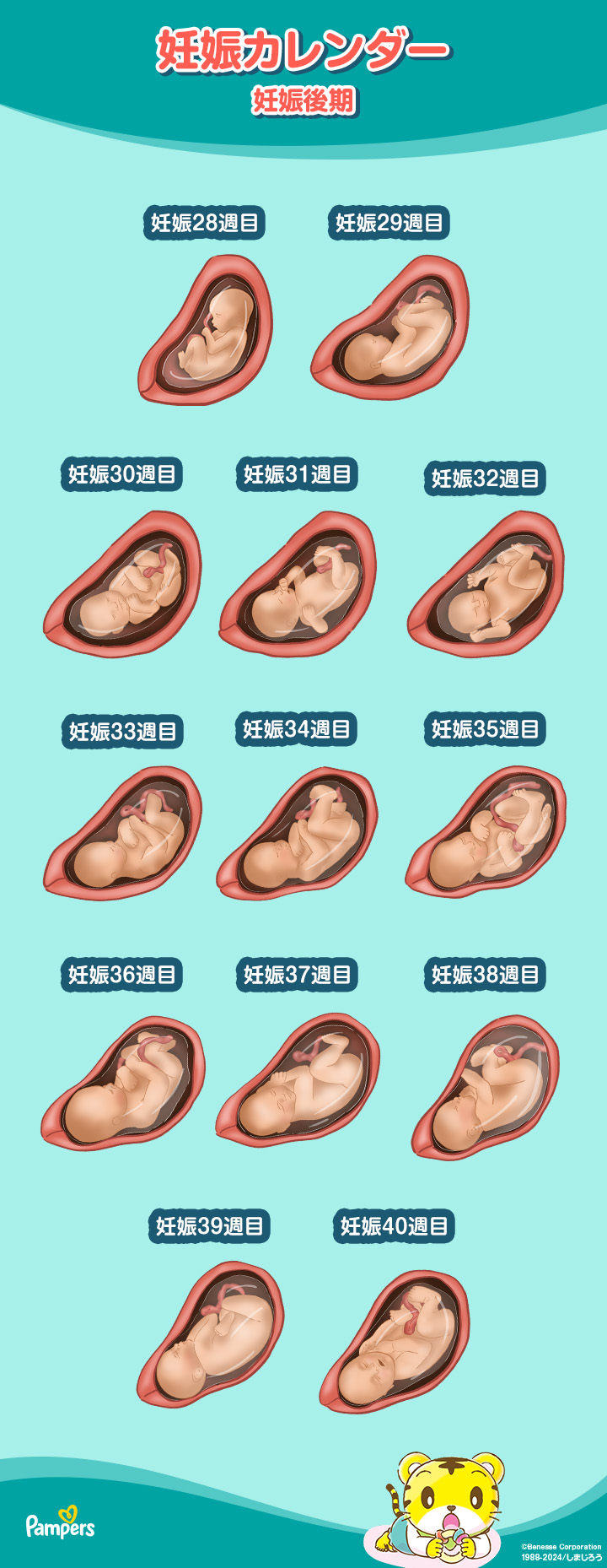 胎児の足型を初めて取る妊婦の挑戦