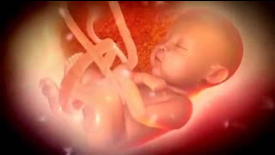 へその緒と初乳の不思議な力母乳ケアなら横浜市の 小さき花 母乳育児相談室