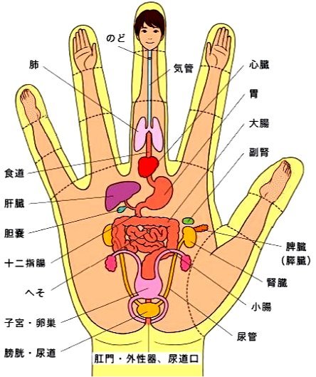 頻尿」手ツボぶっちゃけ鍼灸師の人に教えたくなるツボ