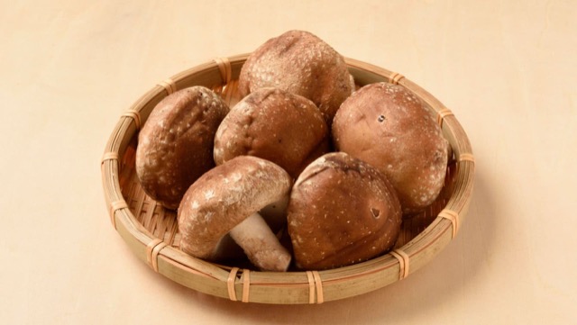 きのこって身体に良いの？きのこに含まれる栄養素をきのこの種類別に紹介！ – ユーグレナ ヘルスケア・ラボ