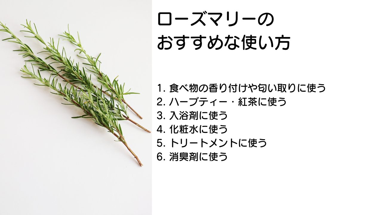 ローズマリー 入浴材 作り方TikTok