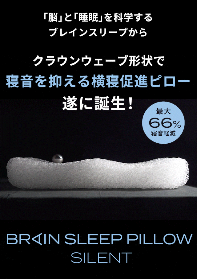 Amazon.co.jp: BRAIN SLEEP