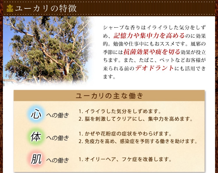 Amazon.co.jp: OrBSユーカリプタススプレー701 330ml 物品用 除菌 消臭 お掃除 マルチスプレー : ドラッグストア