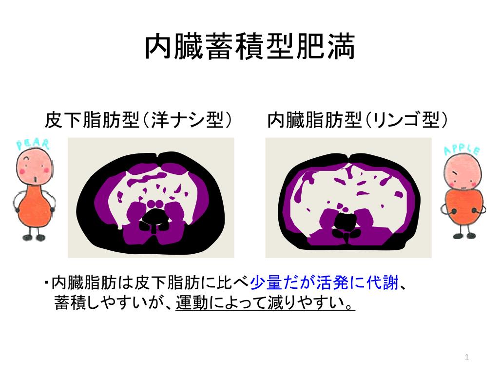 vol.21 お腹まわりの脂肪とスッキリ対策特定保健指導のことなら株式会社ウェルクルへ