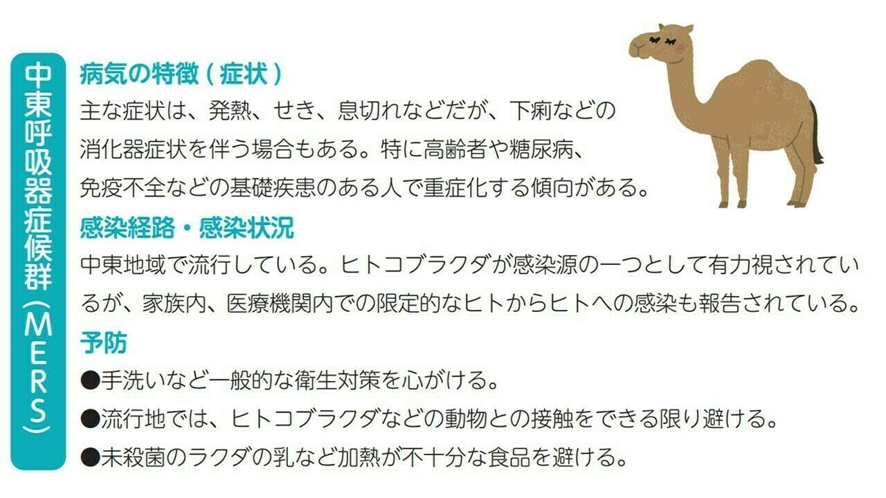 致死率３０％、中東で新たな感染症ＭＥＲＳが猛威 感染源はラクダ