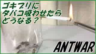 エアコンのゴキブリ対策8選すぐにできる確認方法と追い出し方 -ゴミ屋敷の片づけはゴミ屋敷バスター七福神