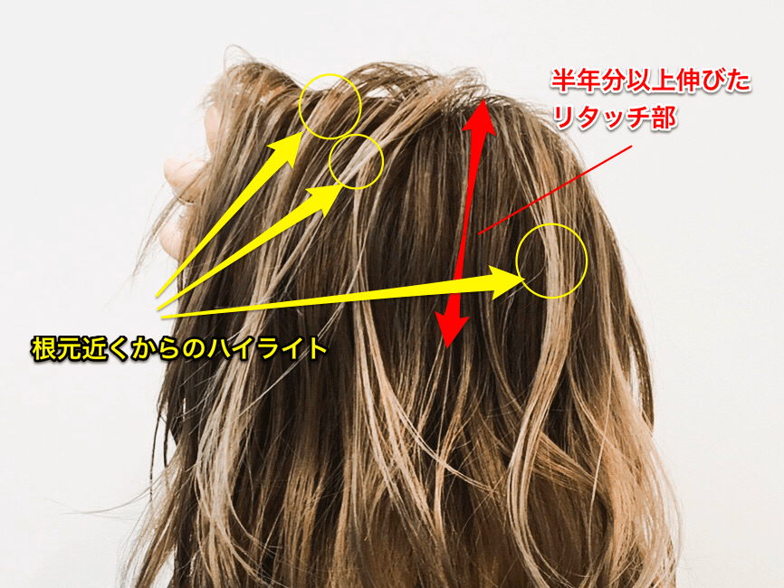 RAYS金本 シャドールーツ※ブリーチ2回
