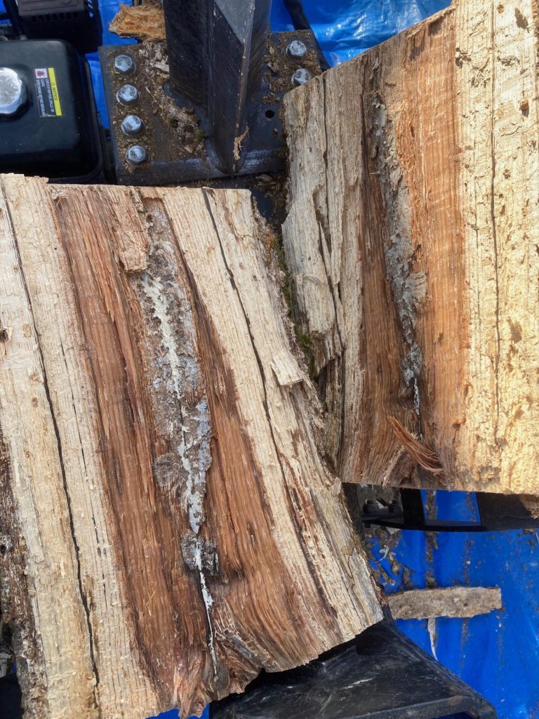 腐った木の幹の写真素材・画像素材 Image 33147682