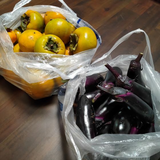 柿を追熟させるには？常温・冷蔵・他の果物を使った追熟方法まで徹底解説！JAいび川公式オンラインショップ岐阜県揖斐郡から自慢の柿をお届け