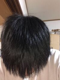 メンズ必見！髪の毛をサラサラにする方法3選！美容師解説！ - me ns エムイー エヌエス