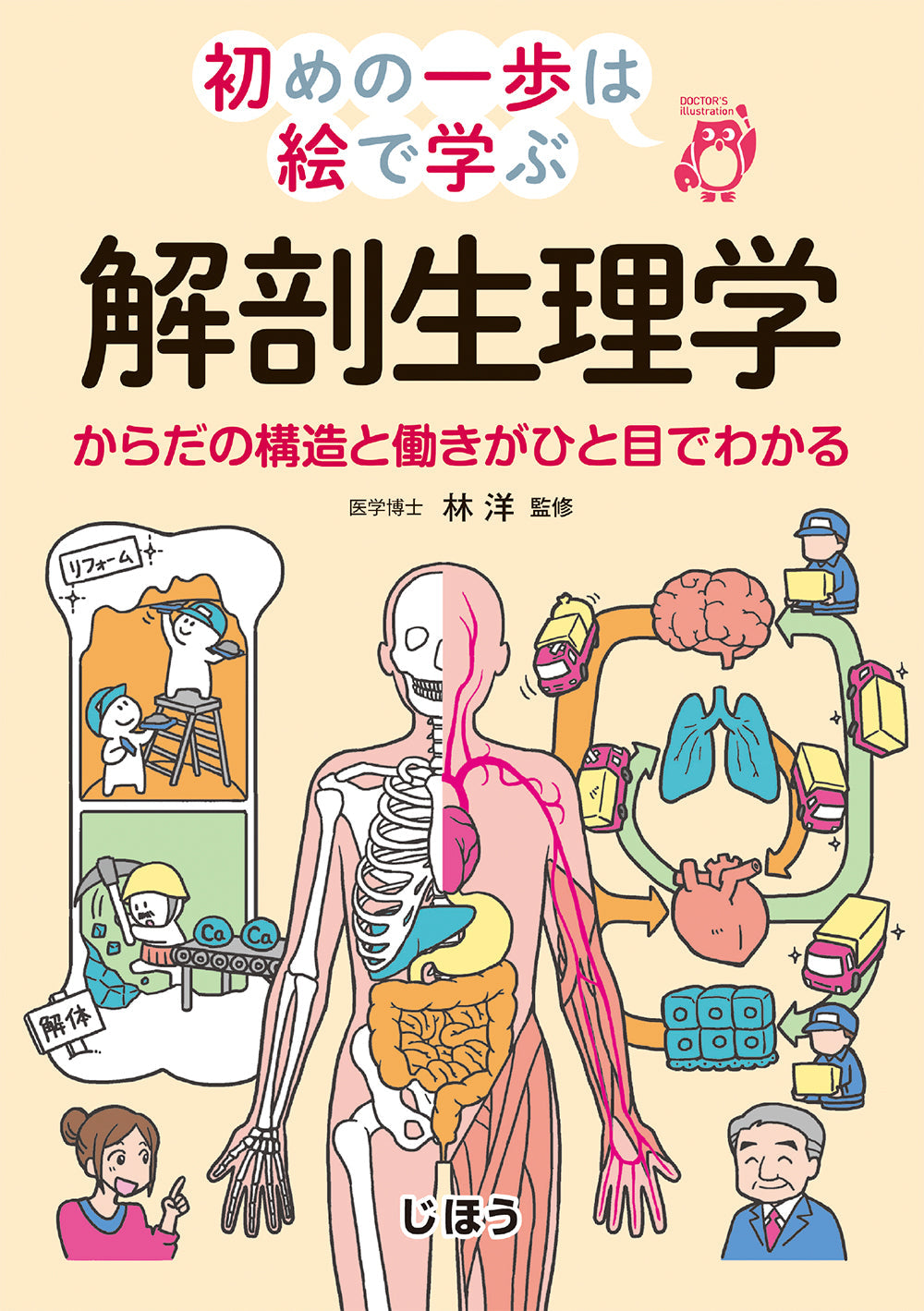 肛門・直腸の構造断面図イラスト人体・医療のイラスト素材FYI04944190ストックフォトの QleanMarket キュリンマーケット