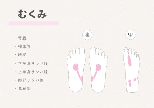 足つぼ 反射区第１７回 ～肩甲骨～