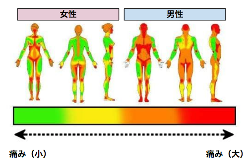 タトゥー ・刺青の痛み彫師が語る都市伝説と痛み対策 - GOOD TIMES INK