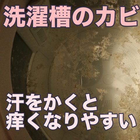 の他の皮膚病村上皮フ科クリニック 松山市 皮膚科 女性皮膚科専門医 愛媛県松山市 乾癬 脱毛症 アトピー かぶれなどの皮膚病