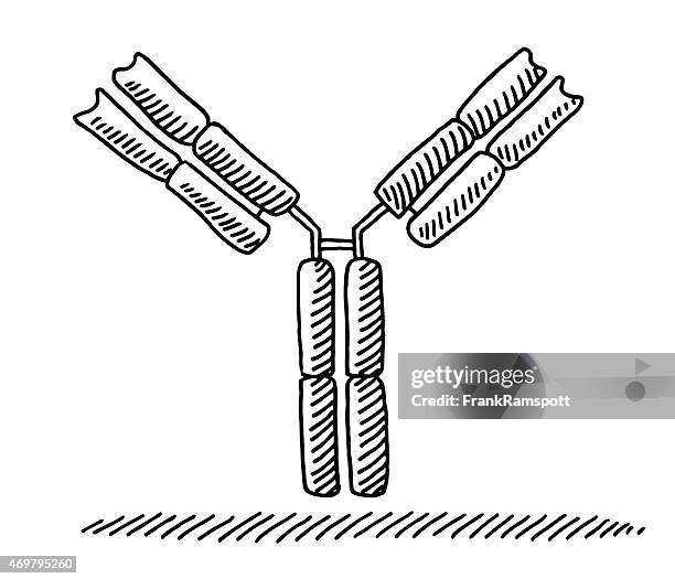 抗体」のイラスト素材・ベクター画像 - イメージマートimagemart