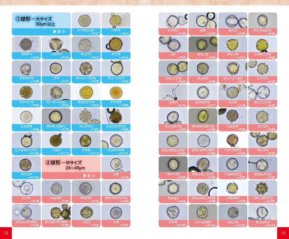 花粉症施設の最新情報や健康に関する記事を発信大阪市での健康相談はDoctor`s Fitness 研究所高血圧、糖尿病、高コレステロール、心臓病は新大阪のDoctor's Fitness診療所へ