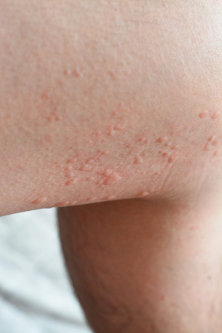 UMIN WWW LIBRARY OF PATHOLOGY