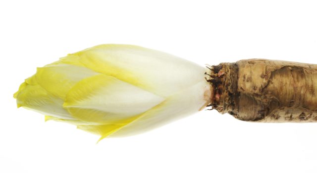 祖母から伝授された「ふきのとう味噌 ばっけ味噌 」のレシピひらつかスパイス農園