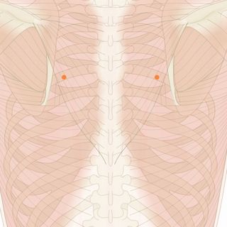 頭痛の症状・原因くすりと健康の情報局