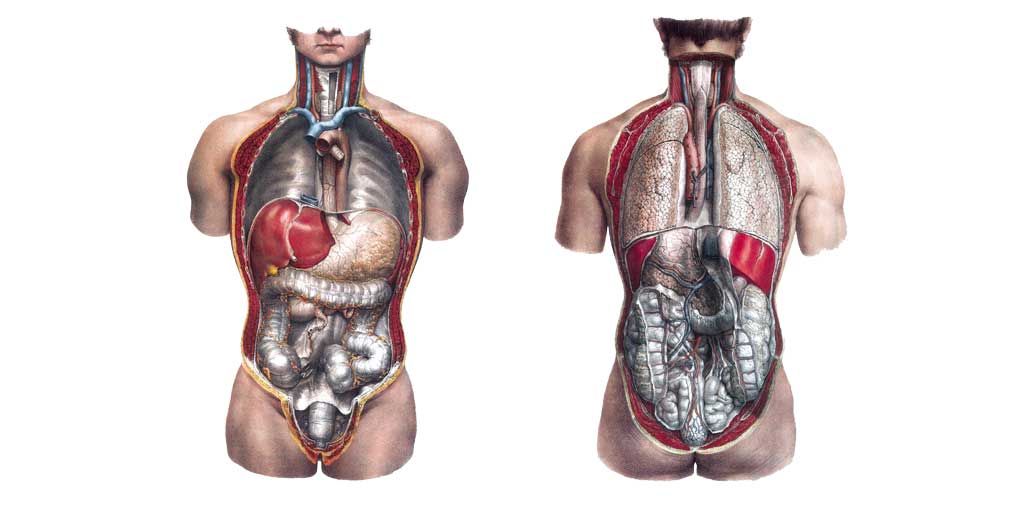 第114回看護師国家試験 午前一般問題一般財団法人厚生労働統計協会国民衛生の動向、厚生労働統計情報を提供