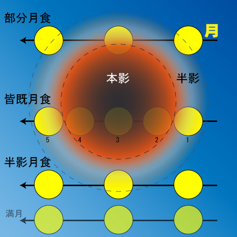 ３年ぶりの「皆既月食」、８日未明に日本全国で 国立天文台「今回はどんな色になるか注目して」 : 読売新聞