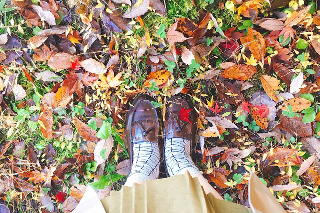 夢占い 蛇に追いかけられる夢の意味6選！シチュエーション別にご紹介！ホギホギ