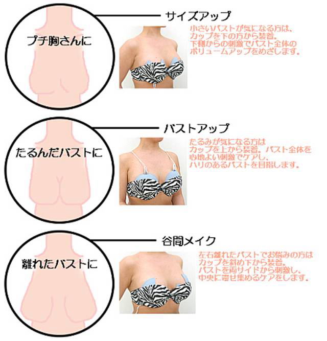 バストアップ＆厚い胸板！大胸筋をパンッパンに追い込む、時短腕立て伏せ 大胸筋・上腕二頭筋・上腕三頭筋