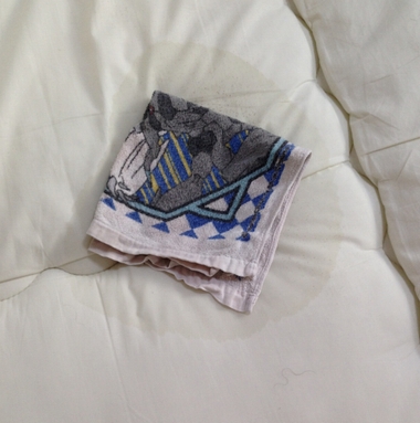 猫ちゃん・わんちゃんのおしっこの臭いとり・黄ばみ取り専用布団クリーニング リフレッシュ出雲