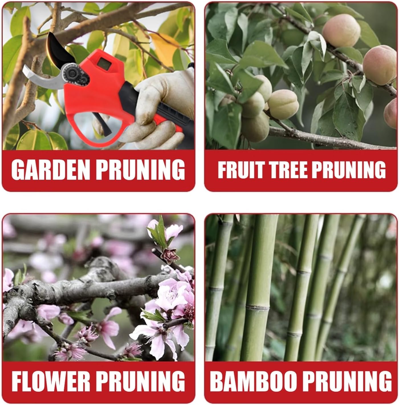 剪定枝、サクッと片付け リンゴ農家の負担軽減へ 青森青森県 ：朝日新聞