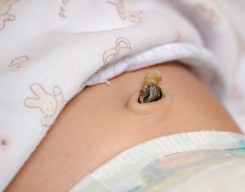 エコー写真 へその緒 見間違いTikTok