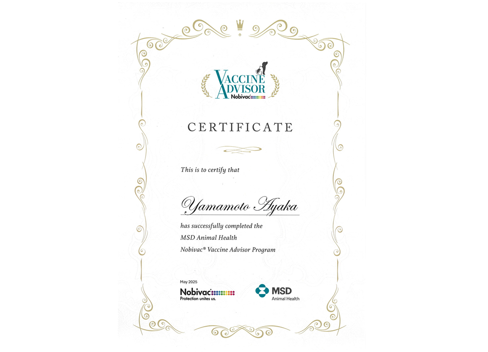 □主催 公益社団法人鹿児島県獣医師会 □共催 鹿児島県 九州地区獣医師会連合会 公益社団