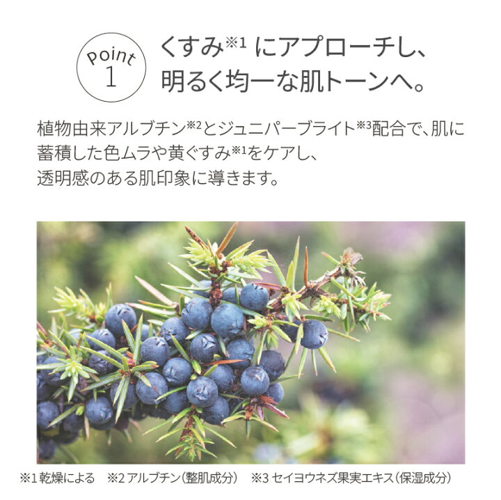 レインシルク 薬用ボディミルクレインシルクシリーズから探すヘア＆ボディケアシャクリーJPサイト