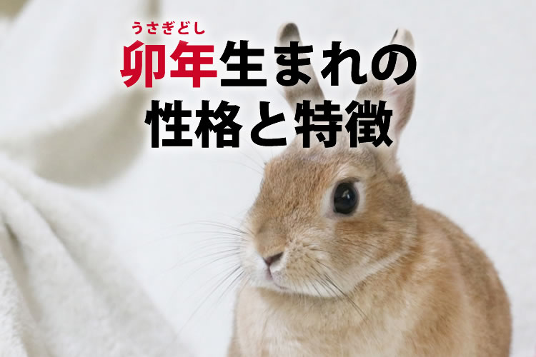 卯 干支 の意味由来は？生まれ年いつ？性格・特徴・恋愛・仕事・金運・相性も！ナデシコマガジン