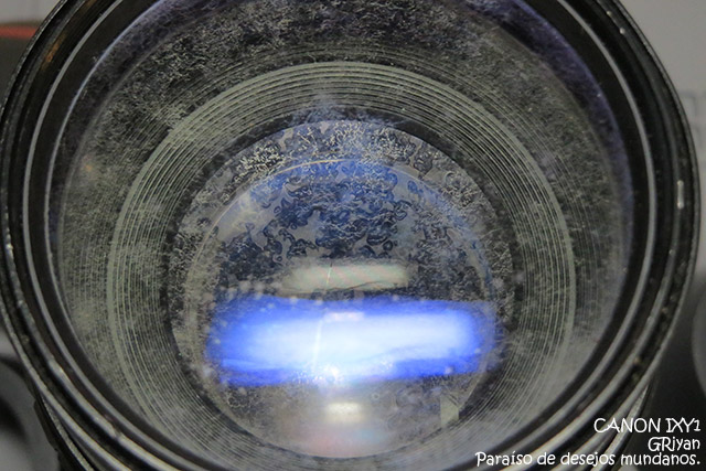 バルサム切れレンズは使えるか？園芸日記byほんわか猫みんなの趣味の園芸856215