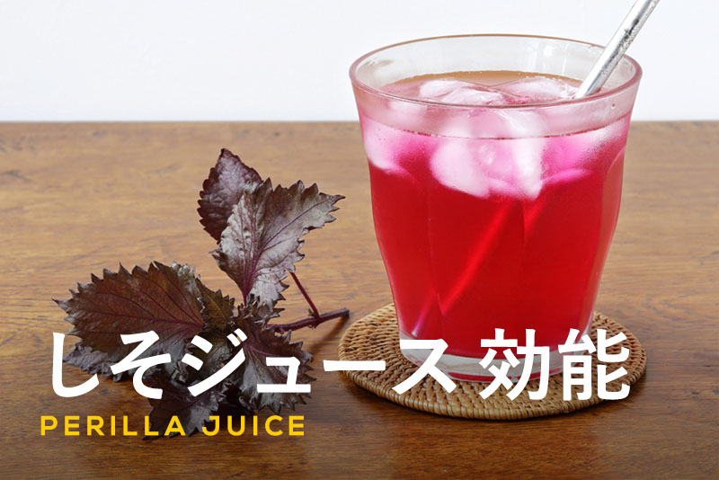 楽天市場 国産 青じそ シソ 茶 5g 農薬不使用北海道産 100％ 青しそ 青ジソ 青紫蘇 大葉 紫蘇 しそ茶 しそ葉茶 紫蘇茶 スパイス ハーブハーブティー サンタローサ : サンタローサ