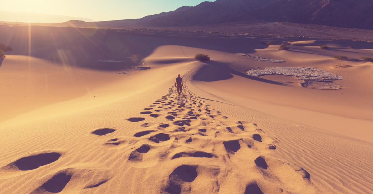 砂漠化をめぐる風と人と土総合地球環境学研究所