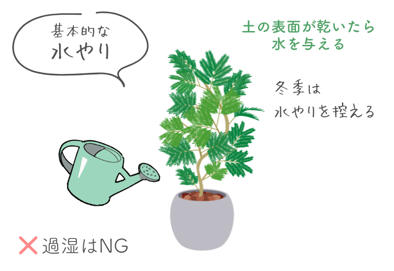 挿し木エバーフレッシュ🍀GreenSnap グリーンスナップ