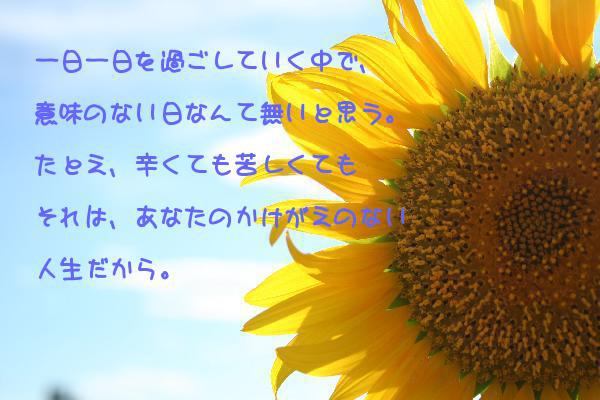 学研ステイフル EDメッセージブック LOVE E10073 プレゼント ギフト メッセージカード ブック バースデーカード 代引不可メール便 ゆうパケット