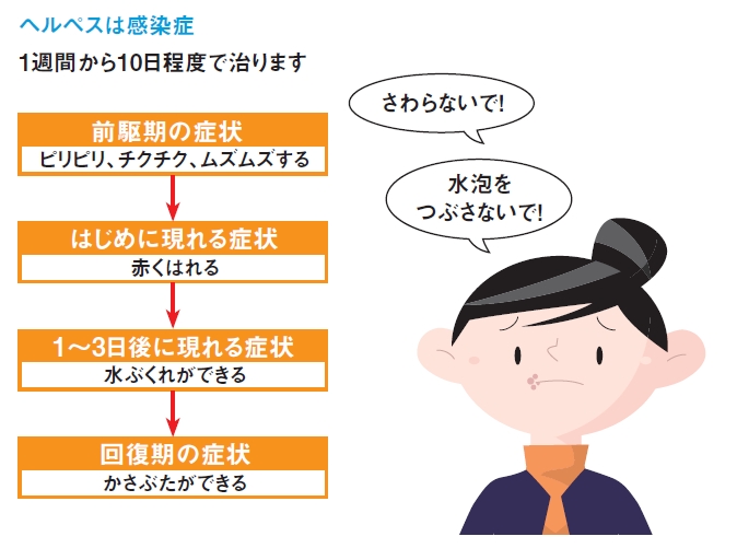 これは下唇の端にあるヘルペスですか？小さな盛り上がりで、ほとんどが白い頭で、そこから髪の毛が飛び出しています。昨日はこの部分で唇を押し込んだときに、ひび割れた皮膚のような不快感がありました。: r Trombone