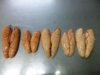 お洒落なケースに入っていますよ、生助子。横浜丸魚株式会社