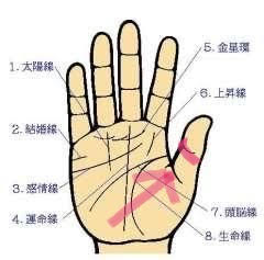 先祖から守られている手相 を２つご紹介✋ これが綺麗に入っていたら 余計にこの意味が強くなります✨ 是非最後までご覧下さい🙇‍♂️＼他の投稿はこちら@tesou_ysokit ------------------------- 中学生の頃から手相を独学 『知らない自分を知る手相』をコンセプト