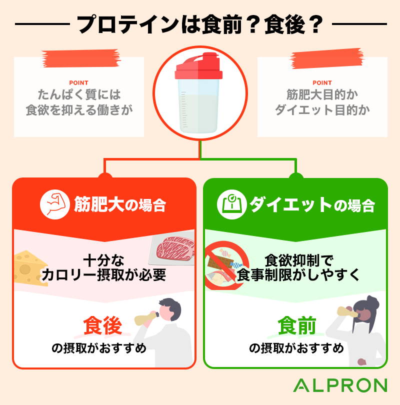 プロテインを飲んだあとにすぐ食事って大丈夫？実はもったいない間違った飲み方についてCiel media