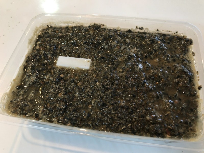 自由研究 液状化実験: さとたか日記