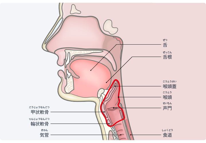 令和元年度 第28回 柔道整復師国家試験問題午前61問〜午前80問