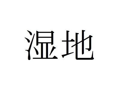 きくらげ その正体に迫るからだとあたまが喜ぶお弁当レシピ N's KITCHEN 食の雑学